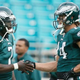 Illustration for article titled Mike Vick Is Super Passive-Aggressive About Riley Cooper Not Texting Him
